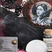 Load image into Gallery viewer, The Morrigan Altar Kit, Witchcraft Altar Kit with Supplies. Samhain Altar for Withccraft, Wicca, Paan and Celtic Witches