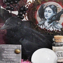 Load image into Gallery viewer, The Morrigan Altar Kit, Witchcraft Altar Kit with Supplies. Samhain Altar for Withccraft, Wicca, Paan and Celtic Witches
